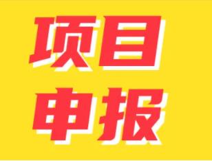 補貼項目申報檢測